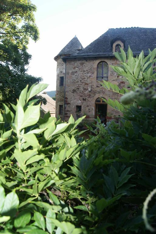 Chateau De Salelles Banassac Exteriér fotografie