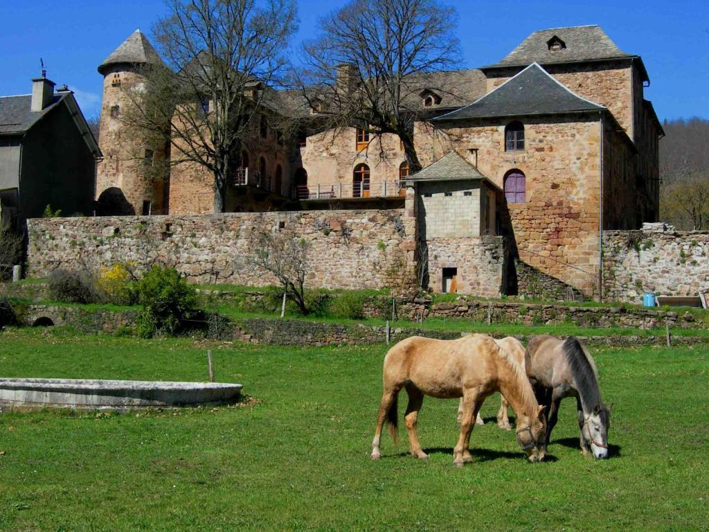 Chateau De Salelles Banassac Exteriér fotografie